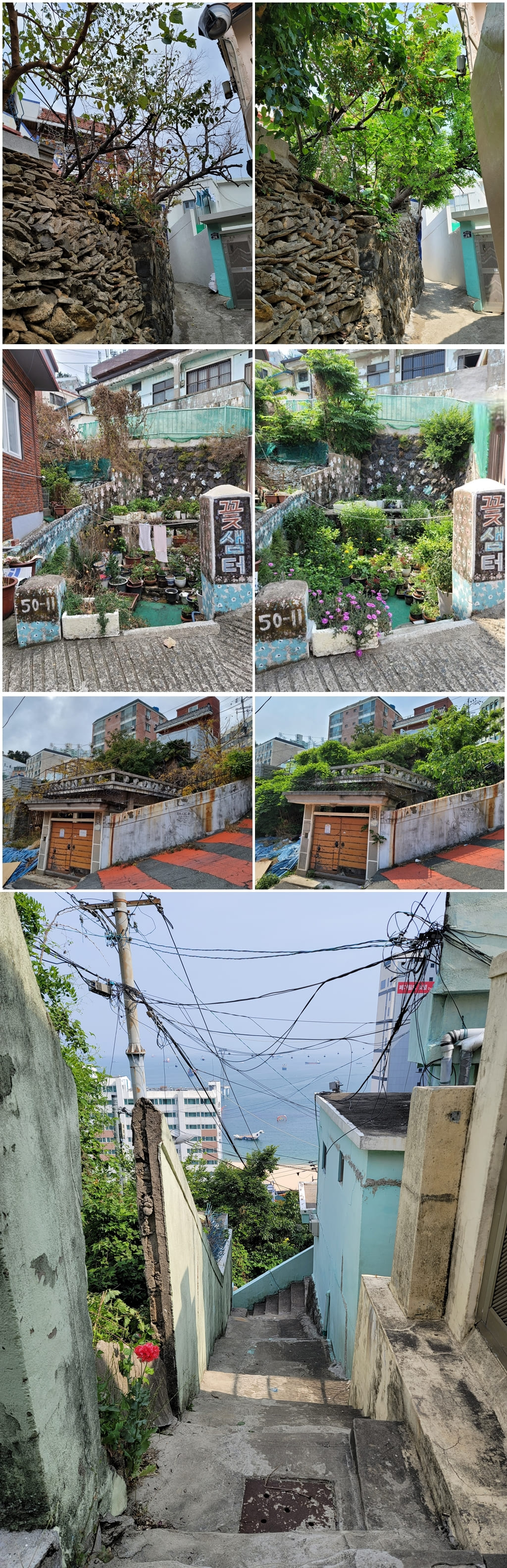 골목집 변화-vert.jpg